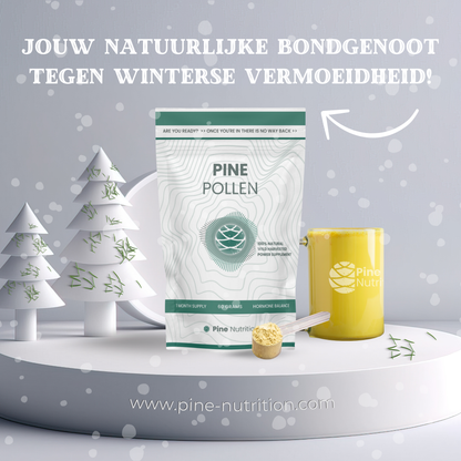 Pine Pollen verpakking met een winterse achtergrond en feestelijke elementen. 100% natuurlijk supplement voor hormoonbalans, energie en ondersteuning tegen winterse vermoeidheid. Inclusief Pine Nutrition mok voor dagelijks gebruik.